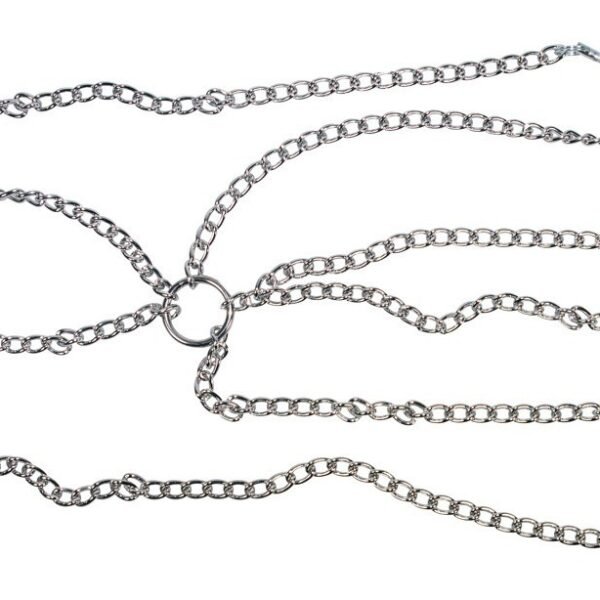Cadena con pinzas para pezones y clítoris – Fetish Collection